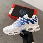 Air Max TN Blue Fade